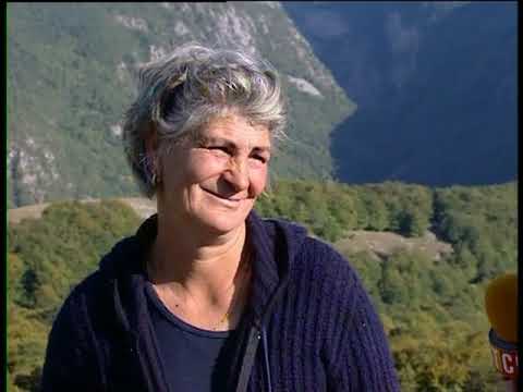 Emisija ZAPIS: Pivski katuni (Okruglica)