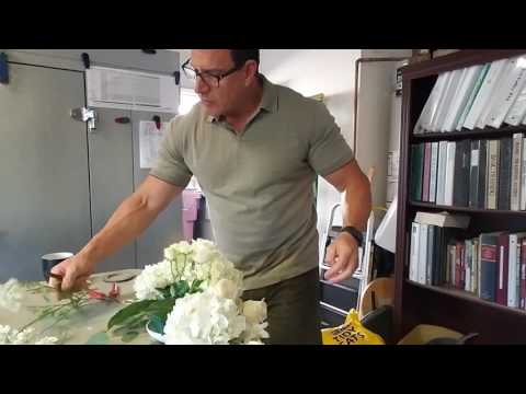 download lagu mp3 mp4 Affordable Wedding Flowers Charleston Sc, download lagu Affordable Wedding Flowers Charleston Sc gratis, unduh video klip Affordable Wedding Flowers Charleston Sc