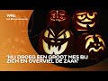 Staan er tijdens Halloween wel eens échte slechteriken aan de deur?
