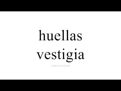 Disce Spanish   vestigia