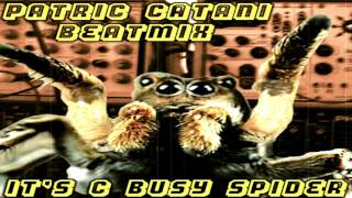 Puppetmastaz, ILL TILL, Xberg Dhirty6 Cru, Patric Catani - It´s C busy Spider Mixtape