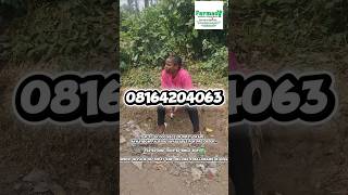 Download lagu JADI JUTAWAN PADA TAHUN 2026 DARI PENYIMPANAN DAN EKSPOR MINYAK KELAPA SAWIT. mp3