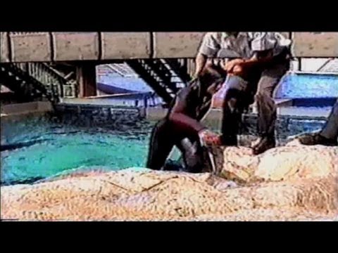 download lagu mp3 mp4 Backlash Magyarul, download lagu Backlash Magyarul gratis, unduh video klip Backlash Magyarul