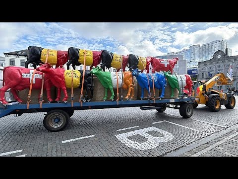 Farmers wheel plaster cows through Brussels to demand 'fair' milk prices