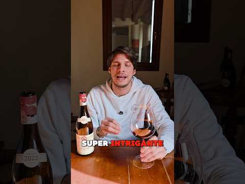 EMIDIO PEPE: Montepulciano D’Abruzzo 🔥🍷👀