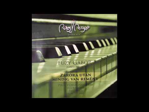 Fűzy Gábor - Engem nem lehet