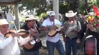 preview picture of video 'Emilio Barrera en el panteon de pedernales'