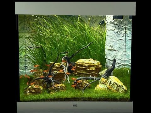 Slide 2 - Juwel Lido 200 LED Aquarium - White (video)