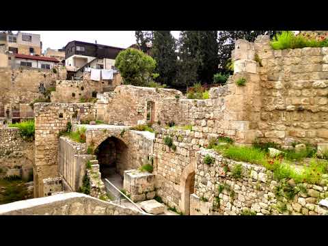 SICK at the Pool of Bethesda - Face to Face #28 - Jn 5:1-18 - Fr. Maciej Jaszczołt