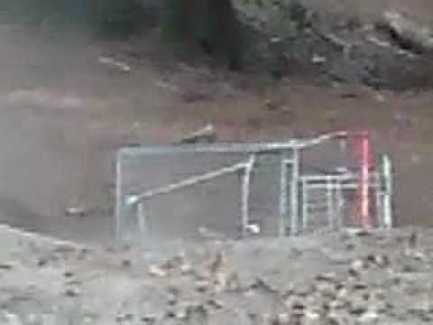 Einkaufswagen runterollen im Lohwald