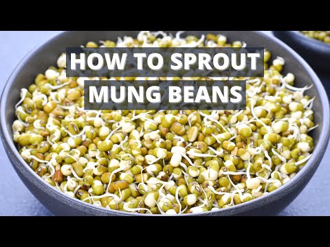Easy Way to Sprout Mung Beans | Mung Bean Sprouts in Instant Pot | Instant Pot Sprouts