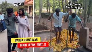 Download lagu Niat Caper Malah Kena Gampar..!! Kelakuan Unik Warga Prindavan Bikin Tepok Jidat mp3