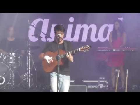 Animal - Només amb tu @ Canet Rock 016