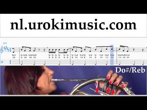 Hoornles Silvestre Dangond Nicky Jam - Cásate Conmigo Muzieknoten Cursus Deel#2 um-i374