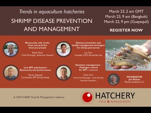 Trends in aquaculture hatcheries: Shrimp disease prevention and management