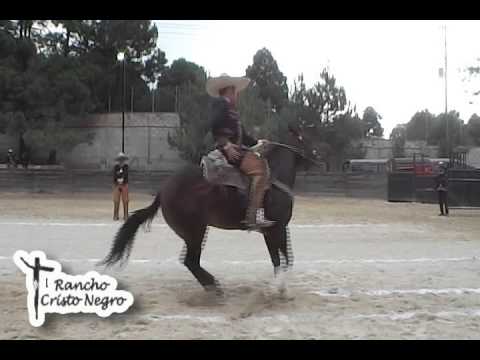 CAMPEÓN DE CALA DE CABALLO