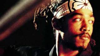 Afu Ra feat. EZD & Guru-For Da Love