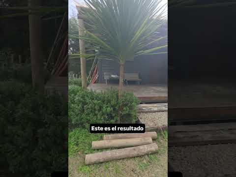 trabajo realizado en 4:30 hs Exaltación de la Cruz.