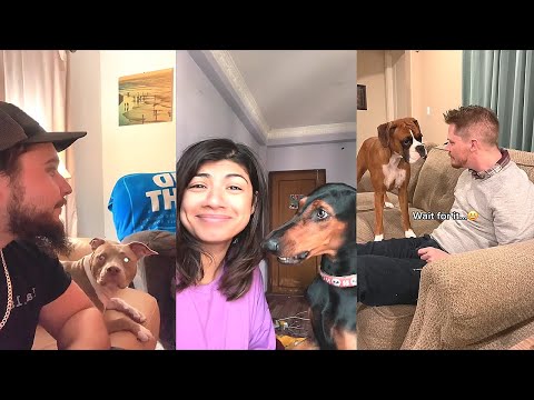 Bark at Your Dog Challenge 😂 TikTok Compilation 2023 #2