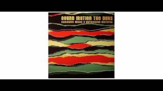 Sound Iration - The Dubz - LP - Year Zero