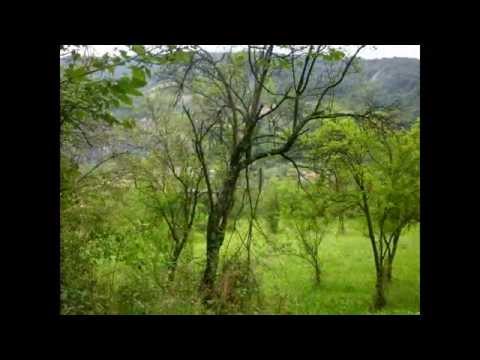 Hoinar prin imprejurimile Mehadiei