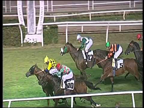 Galoppo 16/07/2016 - 4° corsa - Pr. Città di Napoli