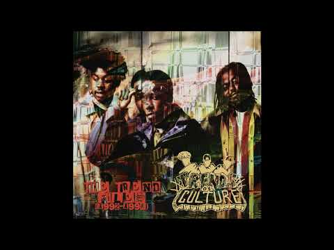 Trends of Culture - The Trend Files (1992-1998) (CD/2LP Vinyl) - Snippets