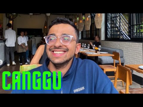 PRODUCTIVE DAYS IN CANGGU, BALI in 2023