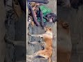 Kaanadondu Bagilu Naavu Banduhogalu Helu Siva Helu Siva Song