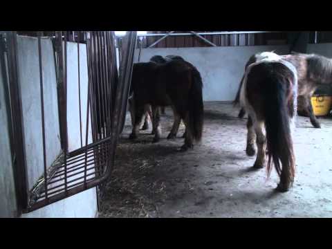 comment nettoyer ambre