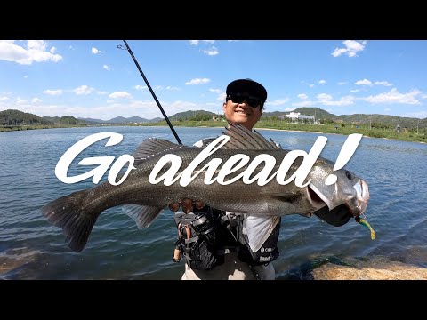 GO AHEAD! VOL.2 KOREA DAYGAME SEABASS | COREMAN