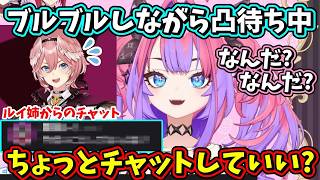 通話中のヴィヴィちゃんの様子がおかしい…。心配したルイ姉のチャットの内容がストレートすぎるｗ【ホロライブ/鷹嶺ルイ/綺々羅々ヴィヴィ/切り抜き】