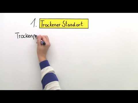 PFLANZEN VERSCHIEDENER STANDORTE | Biologie | Biologie der Pflanzen und Pilze (Mittelstufe)