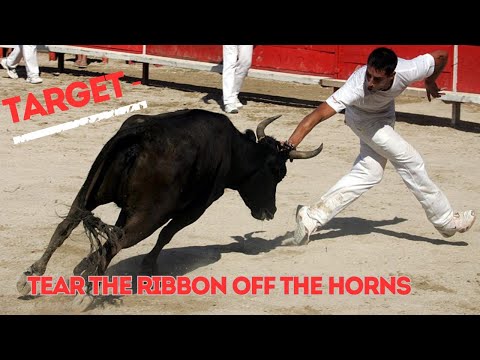 Bullfighting Toro in Camargue France