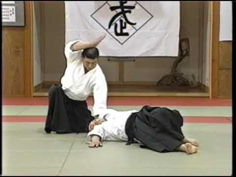 Daito Ryu Aiki Jujutsu   Hiden Mokuroku 1   Ikkajo & Nikajo