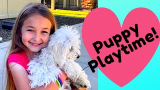 Puppy Playtime!