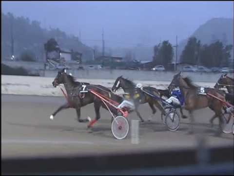 Trotto 13/01/2017 - 3ª corsa