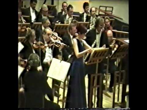 Franz & Karl Doppler - Hungarian Fantasy, Op. 35 (Albert & Catherine Gofman)