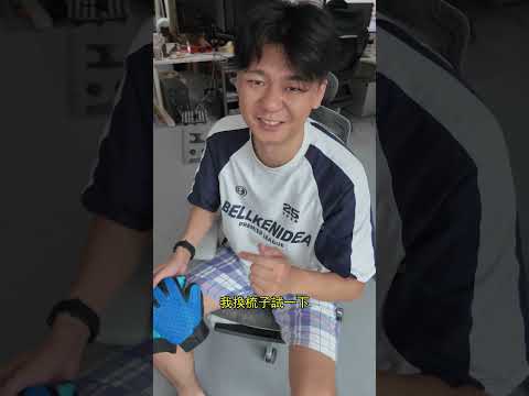 我專門去圓某人工作室借了他們的貓！效果...就離譜！ - 擼貓毛手套