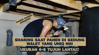 Download lagu Sharing dari dalam gedung walet uniq, ukuran 4×8 Tujuh Lantai!! mp3 Download lagu Sharing dari dalam gedung walet uniq, ukuran 4×8 Tujuh Lantai!! mp3