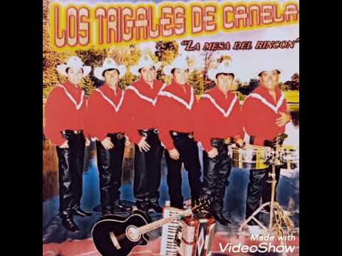 LOS TRIGALES DE CANELA. "EN DONDE ANDARÁ ".