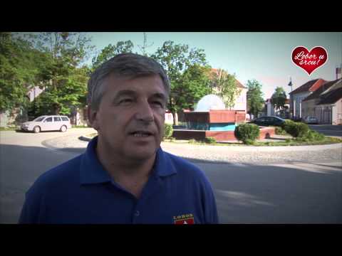 TIM "Lobor u SRCU" - Lokalni izbori 2013. - HDZ lista br.1 (kandidat br. 3)