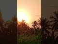 Nature Love Forever ️ Silu Silu Vendru Poongatru Song WhatsApp Status Shorts