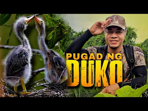 Mga Inakay sa Pugad ng Duko