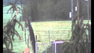 Le corbeau et le lievre