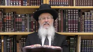 הגאון הרב אברהם יוסף שליט"א האם ישנה חובה לבדוק חמץ בבית הכנסת (הרב אברהם יוסף) - התמונה מוצגת ישירות מתוך אתר האינטרנט יוטיוב. זכויות היוצרים בתמונה שייכות ליוצרה. קישור קרדיט למקור התוכן נמצא בתוך דף הסרטון