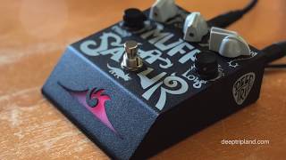 Video thumbnail for Deep Trip: MUFFASAUR Explanatory Demo by Brett Kingman
