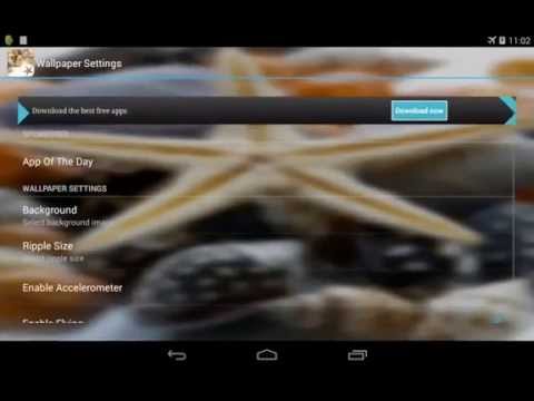 Sea shells Live Wallpaper Video