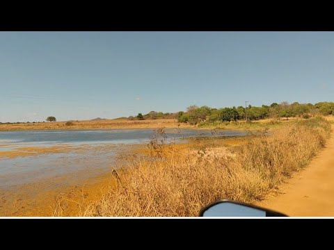 Área rural de palmeira dos índios e Estrela de Alagoas. AL. 22/01/2026
