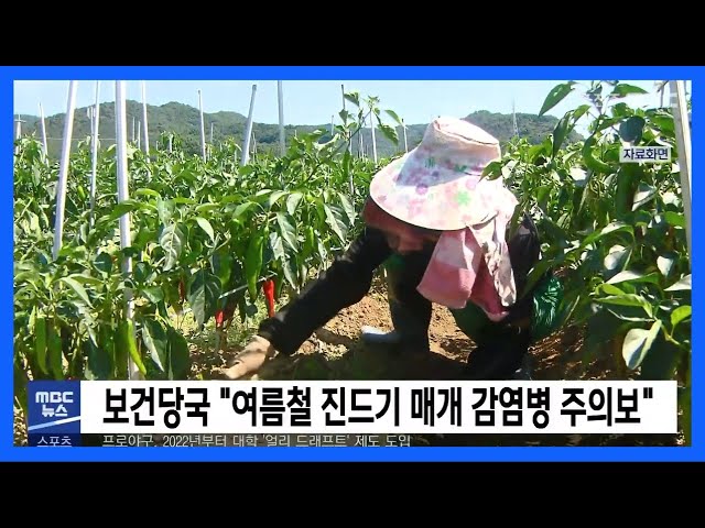 보건당국 '여름철 진드기 매개 감염병 주의보'